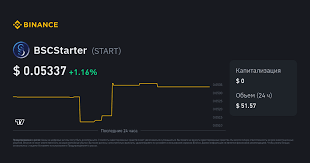 Unlock Your Crypto Potential with bscstarter.finance 11