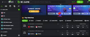 كل ما تحتاج لمعرفته حول BC Game كل ما تحتاج لمعرفته حول BC Game